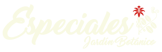 Especiales