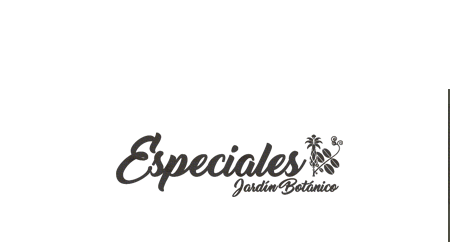 Especiales